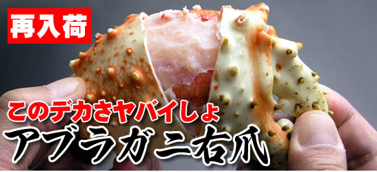 アブラガニ右爪の通販